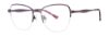 Picture of Elliott Ives Eyeglasses TULIP