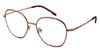 Picture of Moleskine Eyeglasses MO 2270