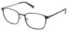 Picture of Perry Ellis Eyeglasses PE 511