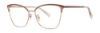 Picture of Vera Wang Eyeglasses VA75