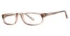 Picture of Modern Plastics I Eyeglasses Overview
