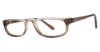 Picture of Modern Plastics I Eyeglasses Overview