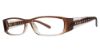 Picture of Modern Plastics II Eyeglasses Bridget
