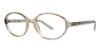 Picture of Modern Plastics II Eyeglasses Daisy