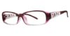 Picture of Modern Plastics II Eyeglasses Mindy