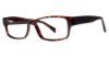 Picture of Modern Plastics II Eyeglasses Slick