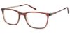 Picture of Revolution Eyeglasses DECLAN Frame Only