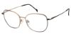 Picture of Stepper Eyeglasses 50301 SI