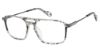 Picture of True Religion Eyeglasses TRU T4022