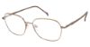 Picture of Stepper Eyeglasses 50319 SI