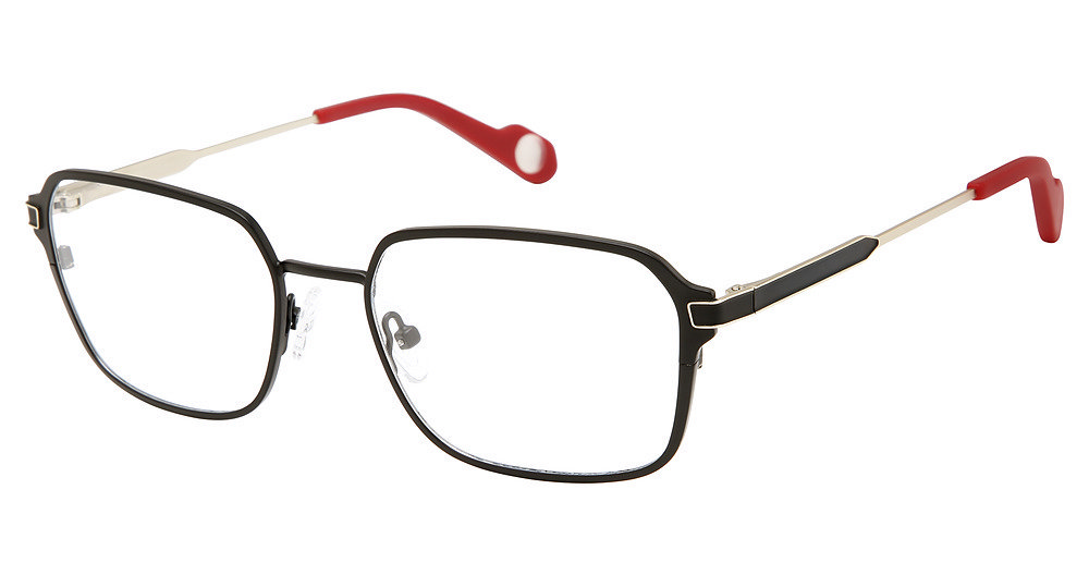Picture of True Religion Eyeglasses TRU T4026