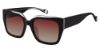 Picture of True Religion Sunwear Sunglasses TRU T3008