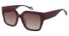 Picture of True Religion Sunwear Sunglasses TRU T3008