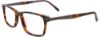 Picture of Easyclip Eyeglasses EC466