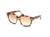 Picture of Tom Ford Icon Sunglasses FT1236