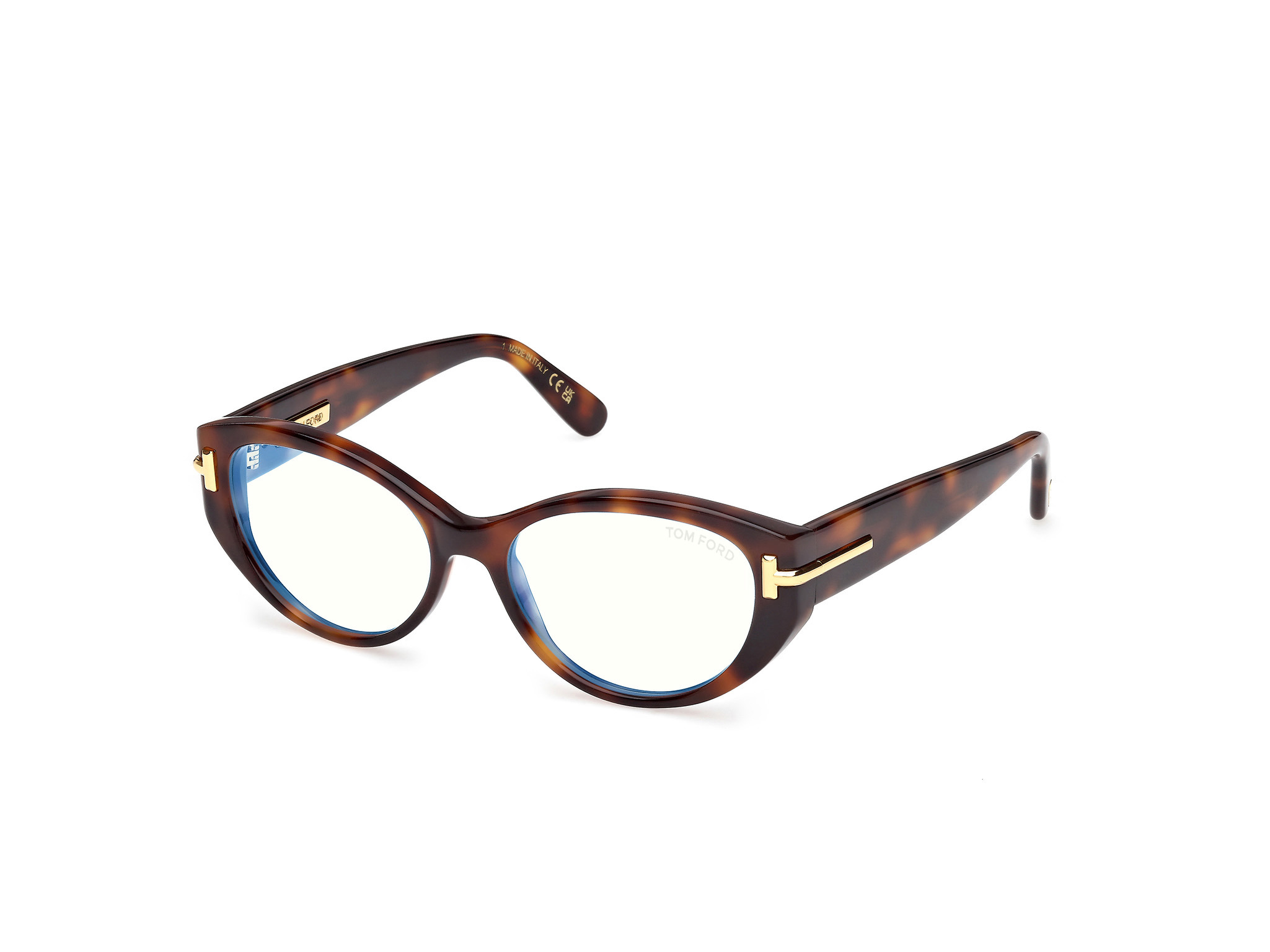 Picture of Tom Ford Icon Eyeglasses FT6031-B