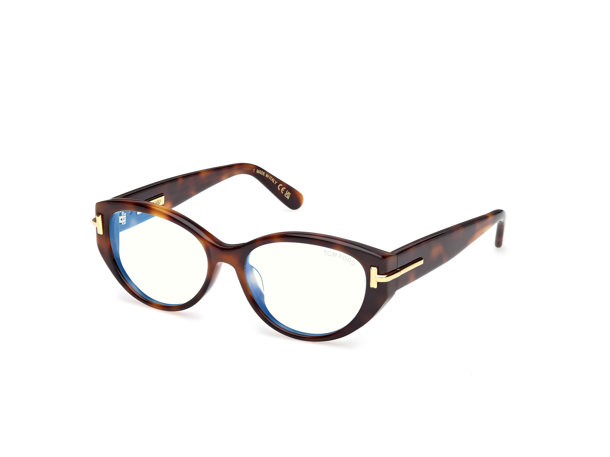 Picture of Tom Ford Icon Eyeglasses FT6031-F-B