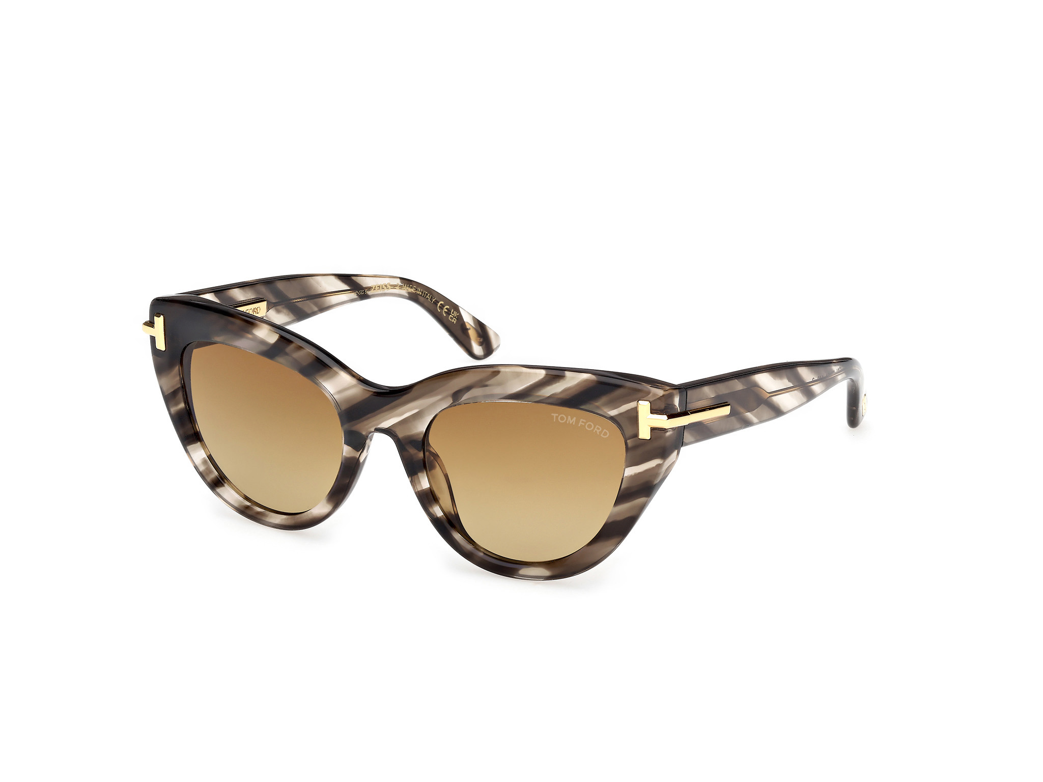 Picture of Tom Ford Icon Sunglasses FT1252