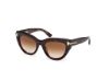 Picture of Tom Ford Icon Sunglasses FT1252
