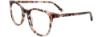 Picture of Easyclip Eyeglasses EC729