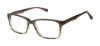 Picture of New Globe Eyeglasses M454
