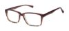 Picture of New Globe Eyeglasses M454