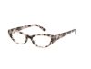 Picture of Hollister Eyeglasses HL50026