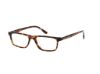 Picture of Hollister Eyeglasses HL50043