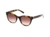Picture of Abercrombie & Fitch Sunglasses AF00029