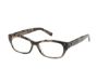 Picture of Abercrombie & Fitch Eyeglasses AF50029