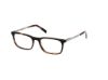 Picture of Abercrombie & Fitch Eyeglasses AF50041