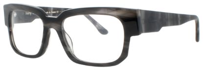 Picture of Harry Lary Eyeglasses CEREMONY