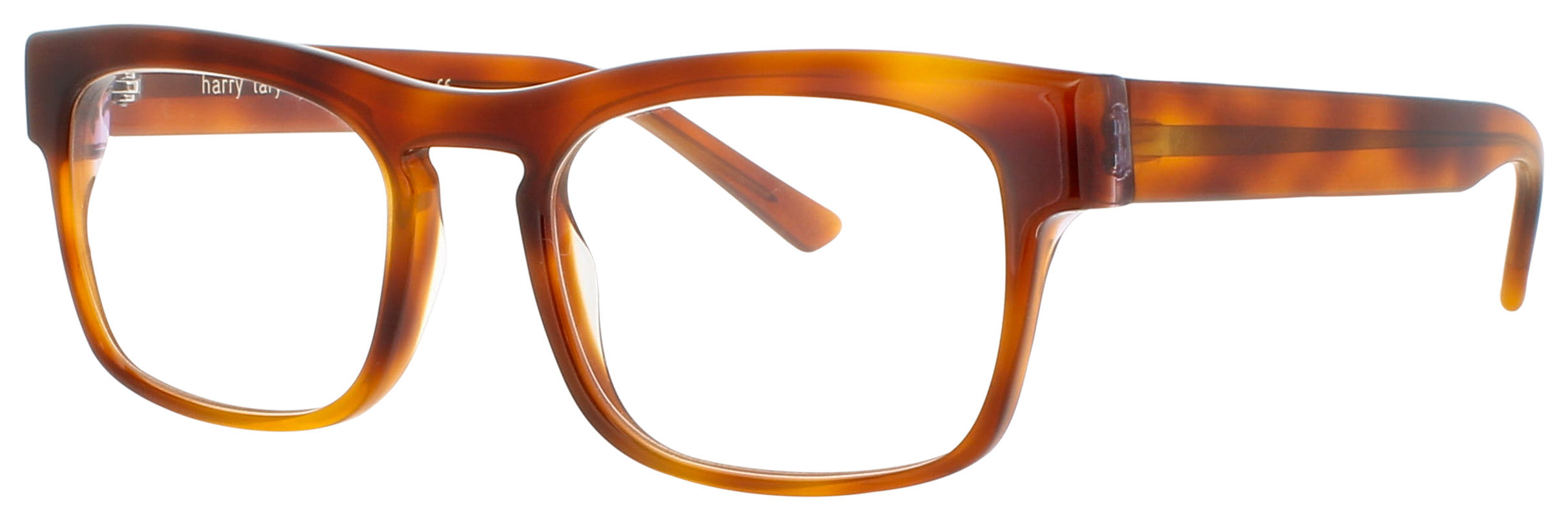Picture of Harry Lary Eyeglasses CONFORMITY