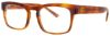 Picture of Harry Lary Eyeglasses CONFORMITY