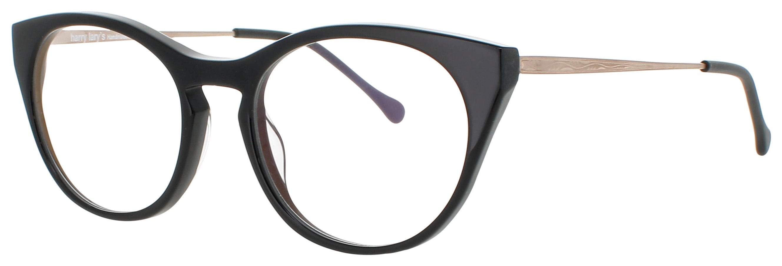 Picture of Harry Lary Eyeglasses MODERNITY