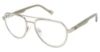 Picture of Champion Eyeglasses NAB