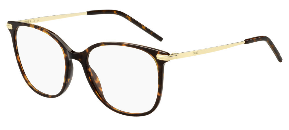 Picture of Hugo Boss Eyeglasses 1663