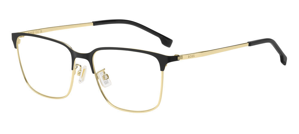 Picture of Hugo Boss Eyeglasses 1676/F