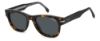 Picture of Carrera Sunglasses 330/S