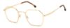 Picture of Carrera Eyeglasses 335