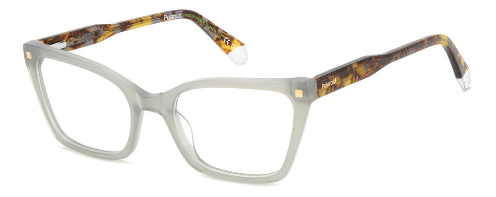 Picture of Polaroid Eyeglasses PLD D520