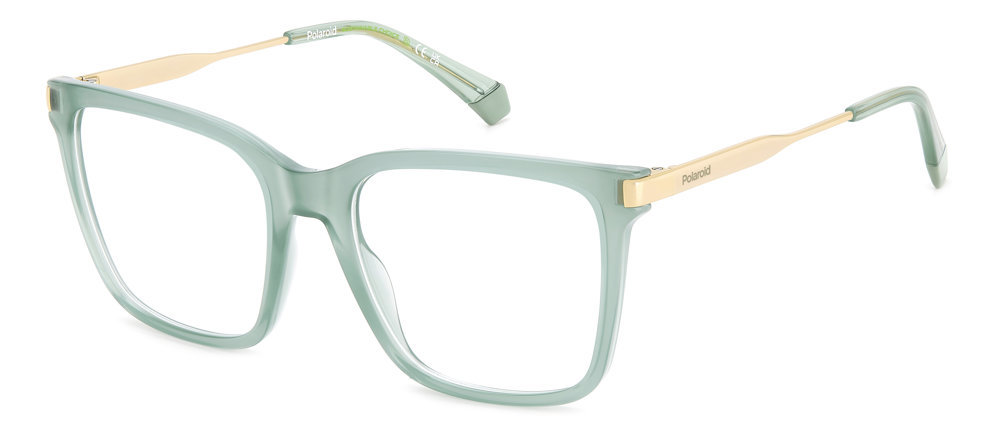 Picture of Polaroid Eyeglasses PLD D528