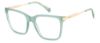 Picture of Polaroid Eyeglasses PLD D528