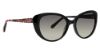 Picture of Vera Bradley Sunglasses VB Kavik