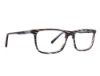 Picture of Rip Curl Eyeglasses RIP CURL-RC 2105