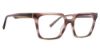 Picture of Trina Turk Eyeglasses Carly