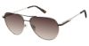 Picture of Ann Taylor Sunglasses ATP933