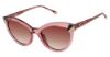 Picture of Champion Sunglasses BETTY