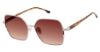 Picture of Champion Sunglasses FLORA