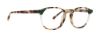 Picture of Vera Bradley Eyeglasses Collins